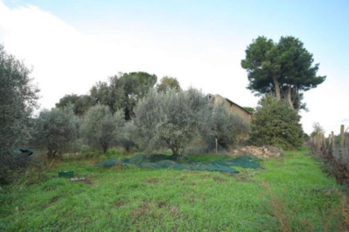 Antico Borgo La Commenda Aparthotel Montefiascone Luaran gambar